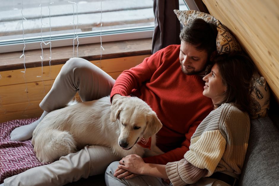 Happy pets